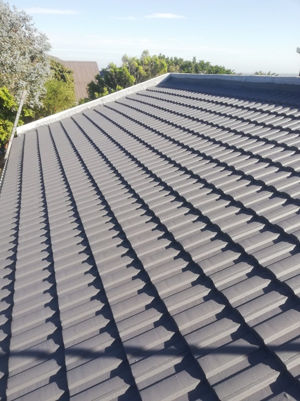 roofing waterproofing painting capetown